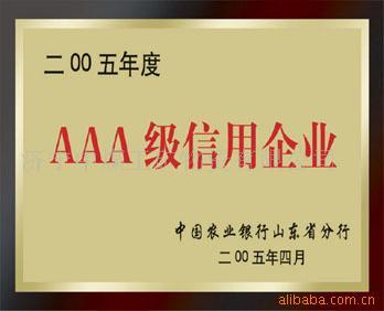 AEG電動工具南方銷售部企業信用評估深度解析